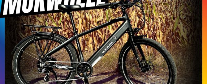 Mokwheel Ebike im Test